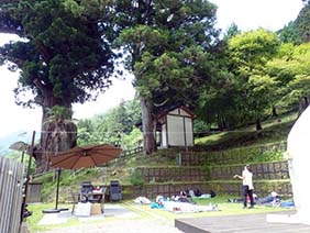 森林ウォーク&森林セラピー