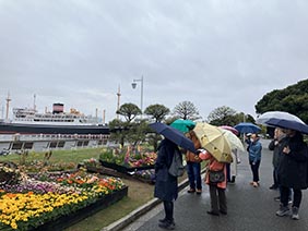 春の横浜ウォーキングツアー
